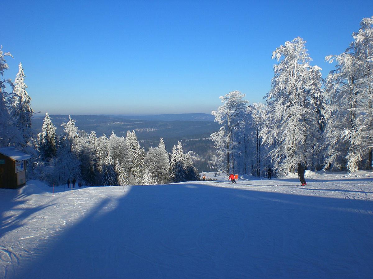 Pension Philippsreut "Zum Pfenniggeiger" Am Goldsteigwanderweg ภายนอก รูปภาพ
