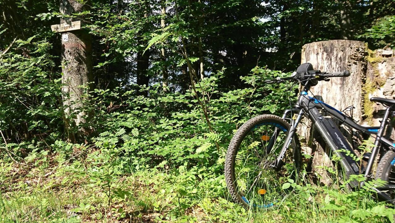 Pension Philippsreut "Zum Pfenniggeiger" Am Goldsteigwanderweg ภายนอก รูปภาพ